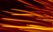 Adaptive Fibrous Materials 